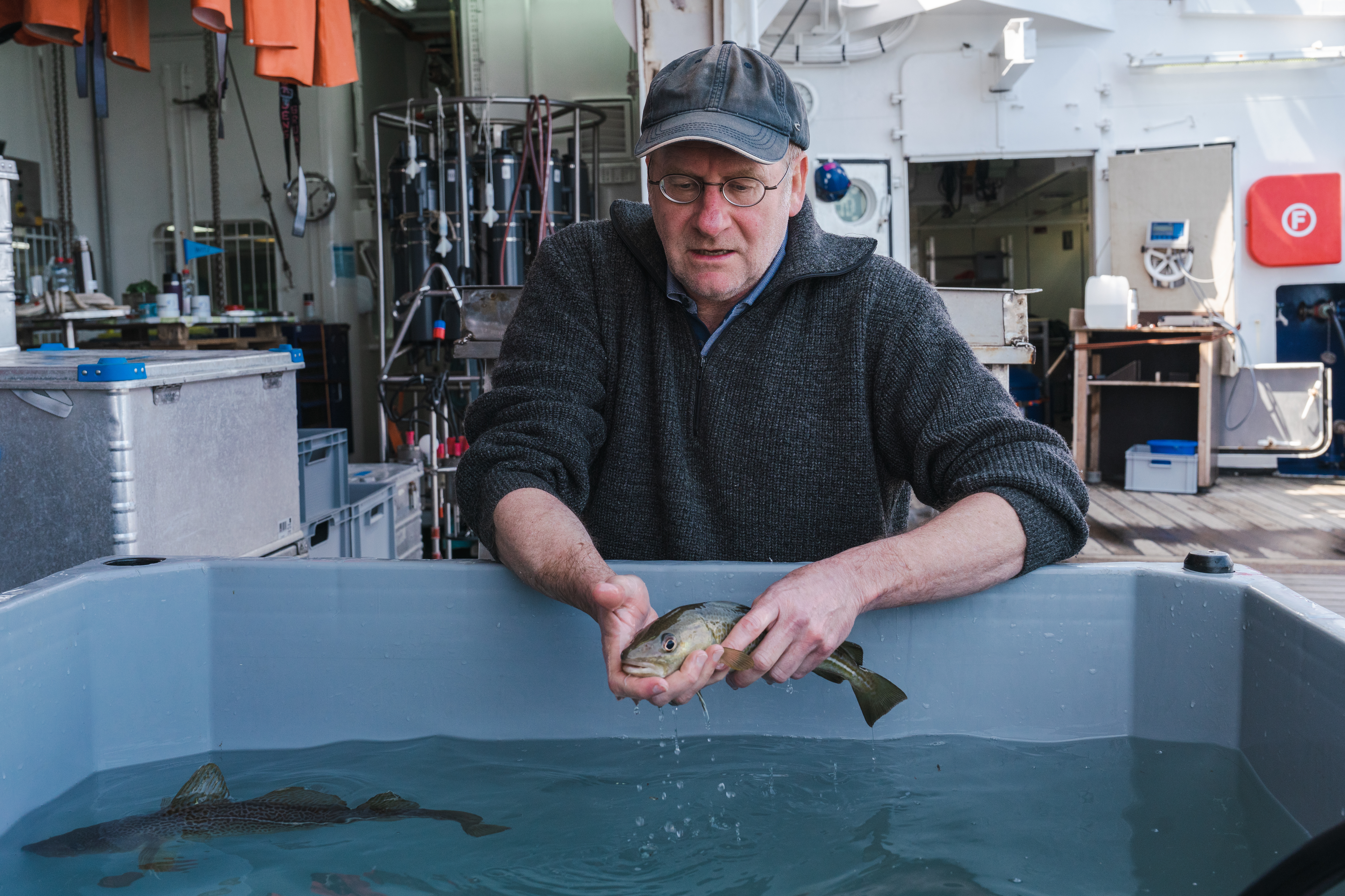 Thorsten Reusch on the research cruise in the Baltic Sea