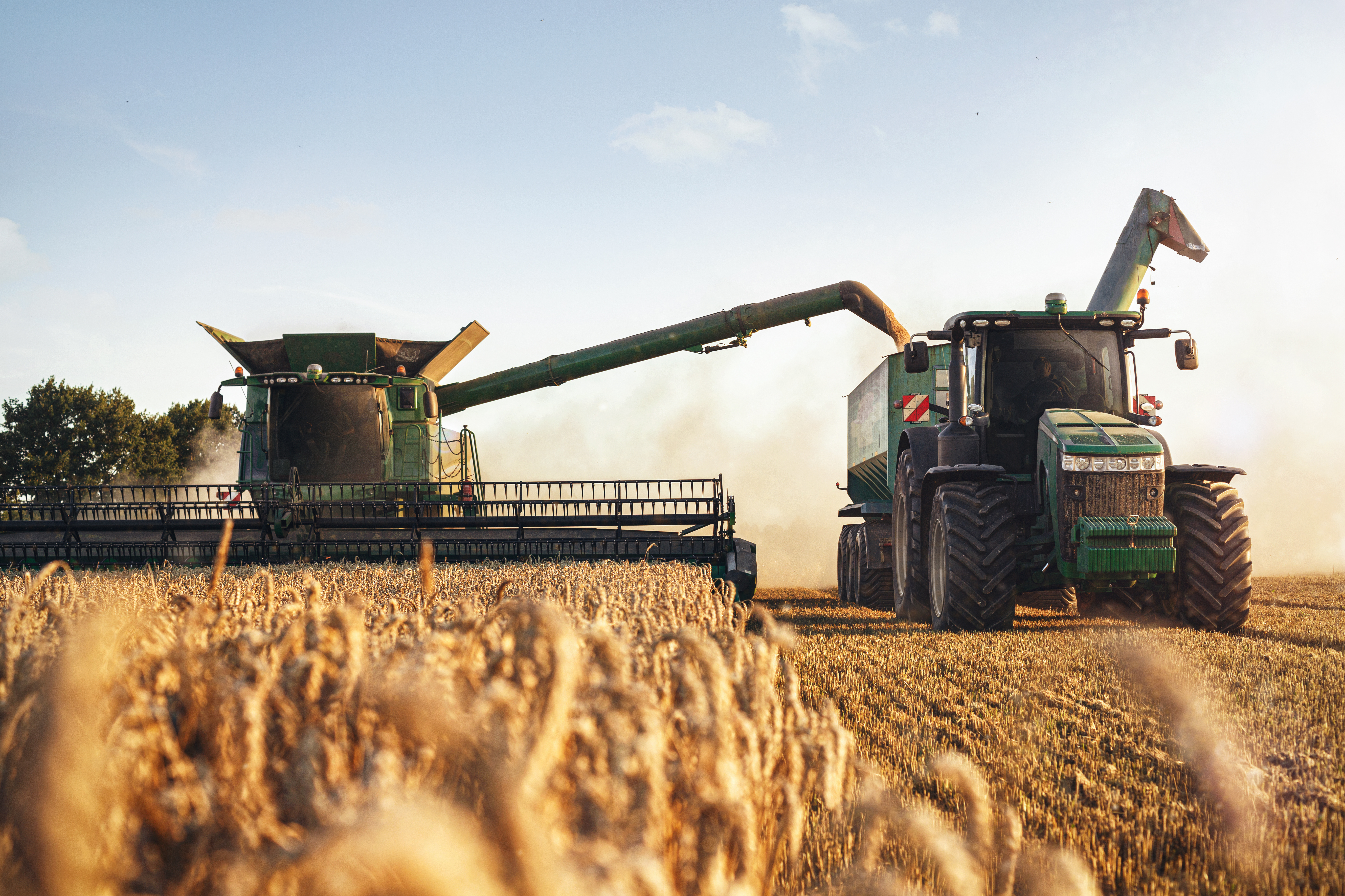 Mähdrescher und Traktor bei der Ernte