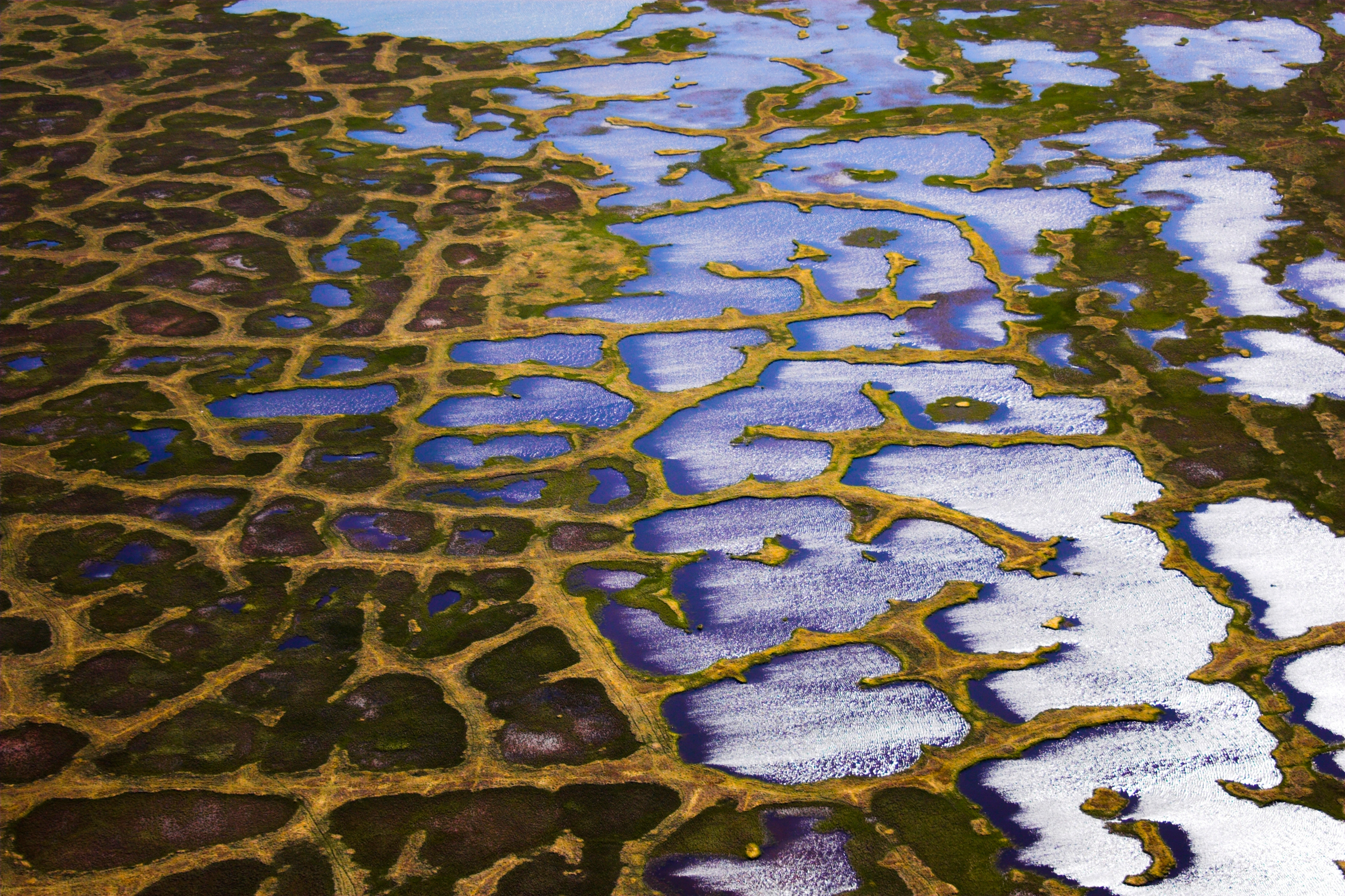 Tauender Permafrost