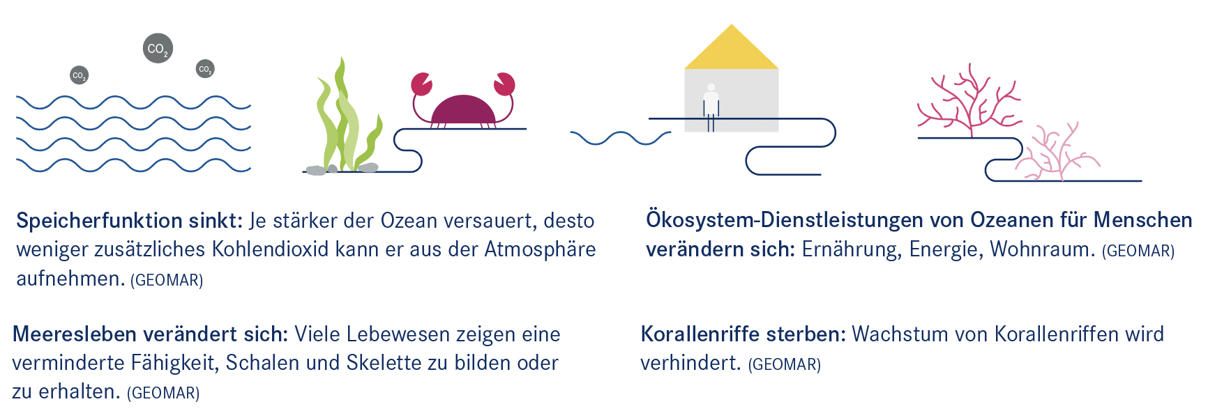 Grafik Factsheet Ozean