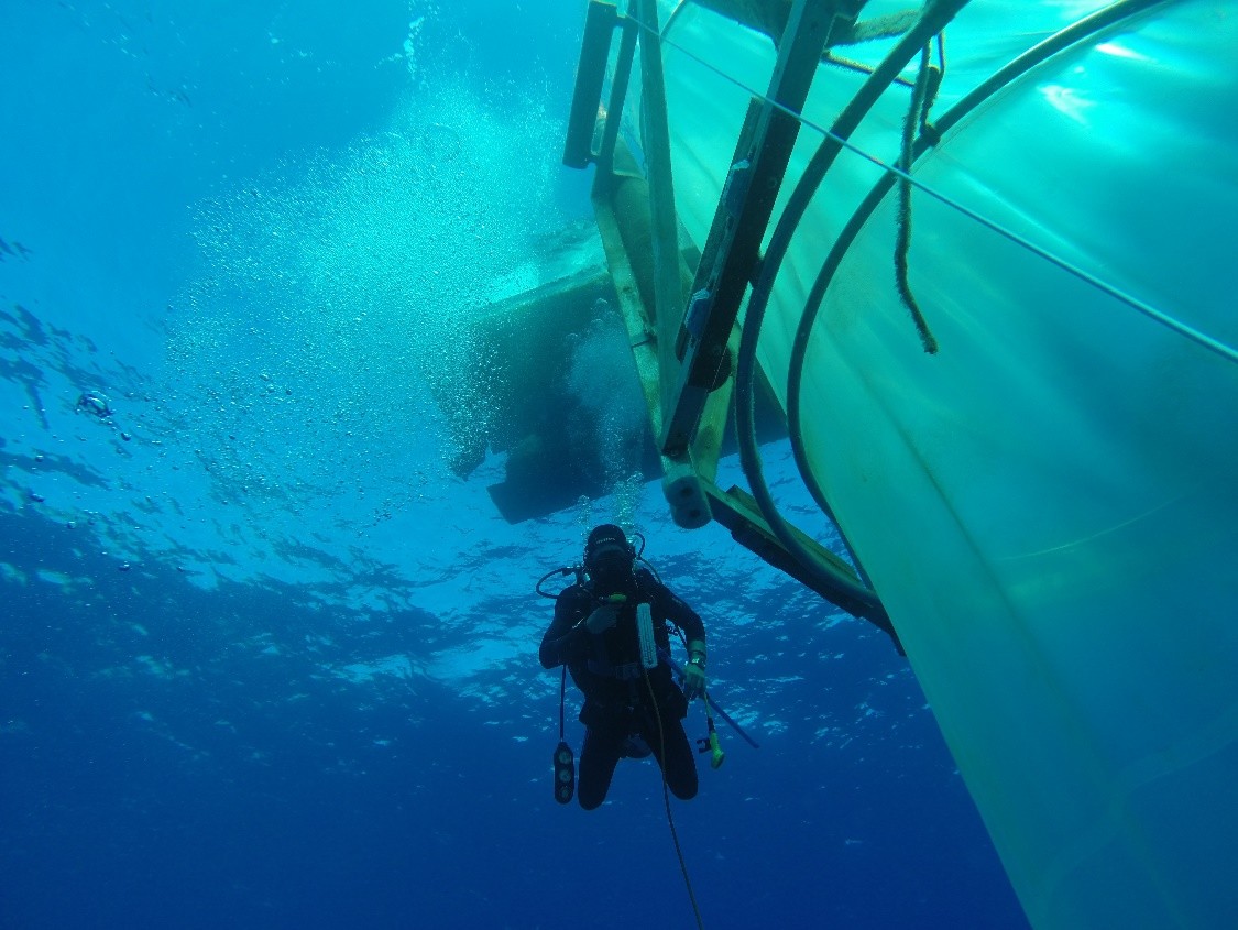 Mesokosmenstudie zur Alkalinitätserhöhung vor Gran Canaria