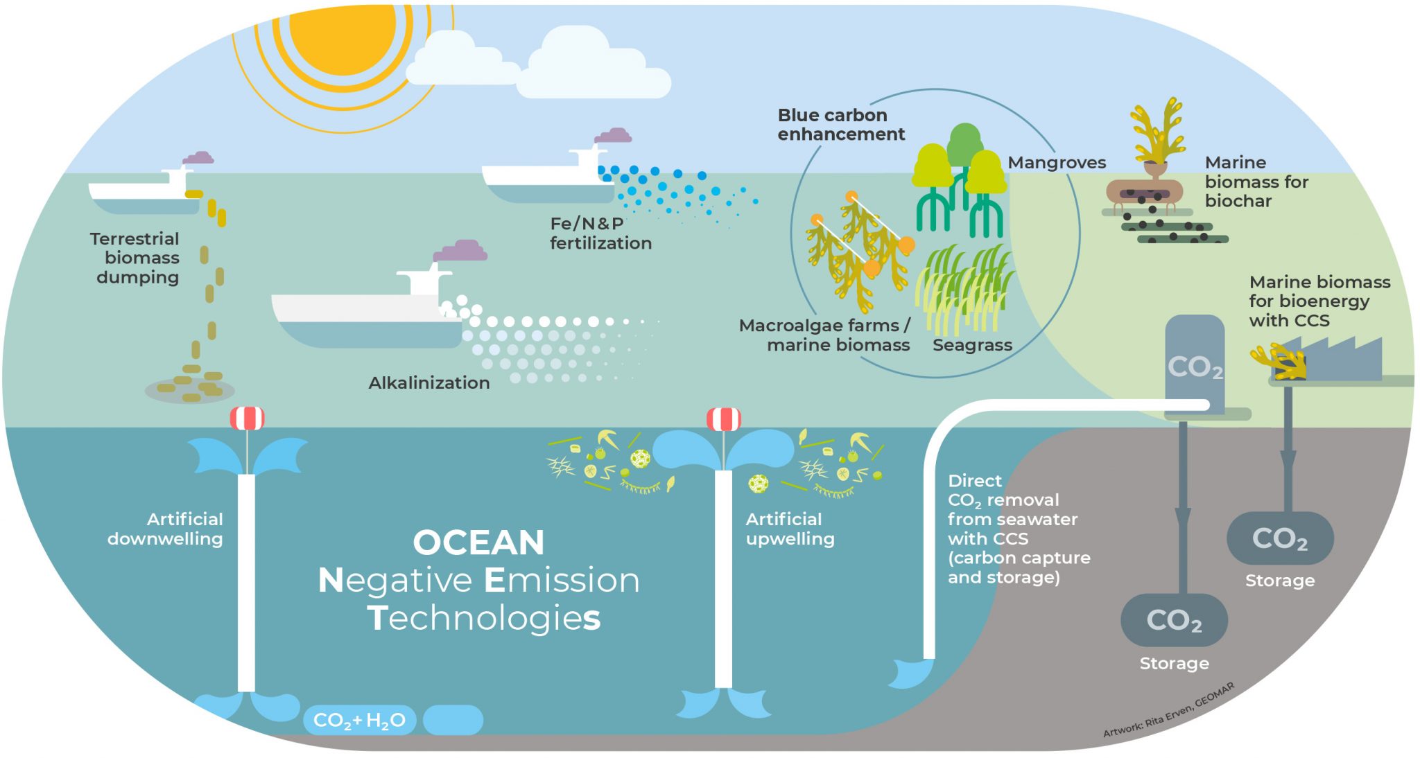 graphic OceanNETs