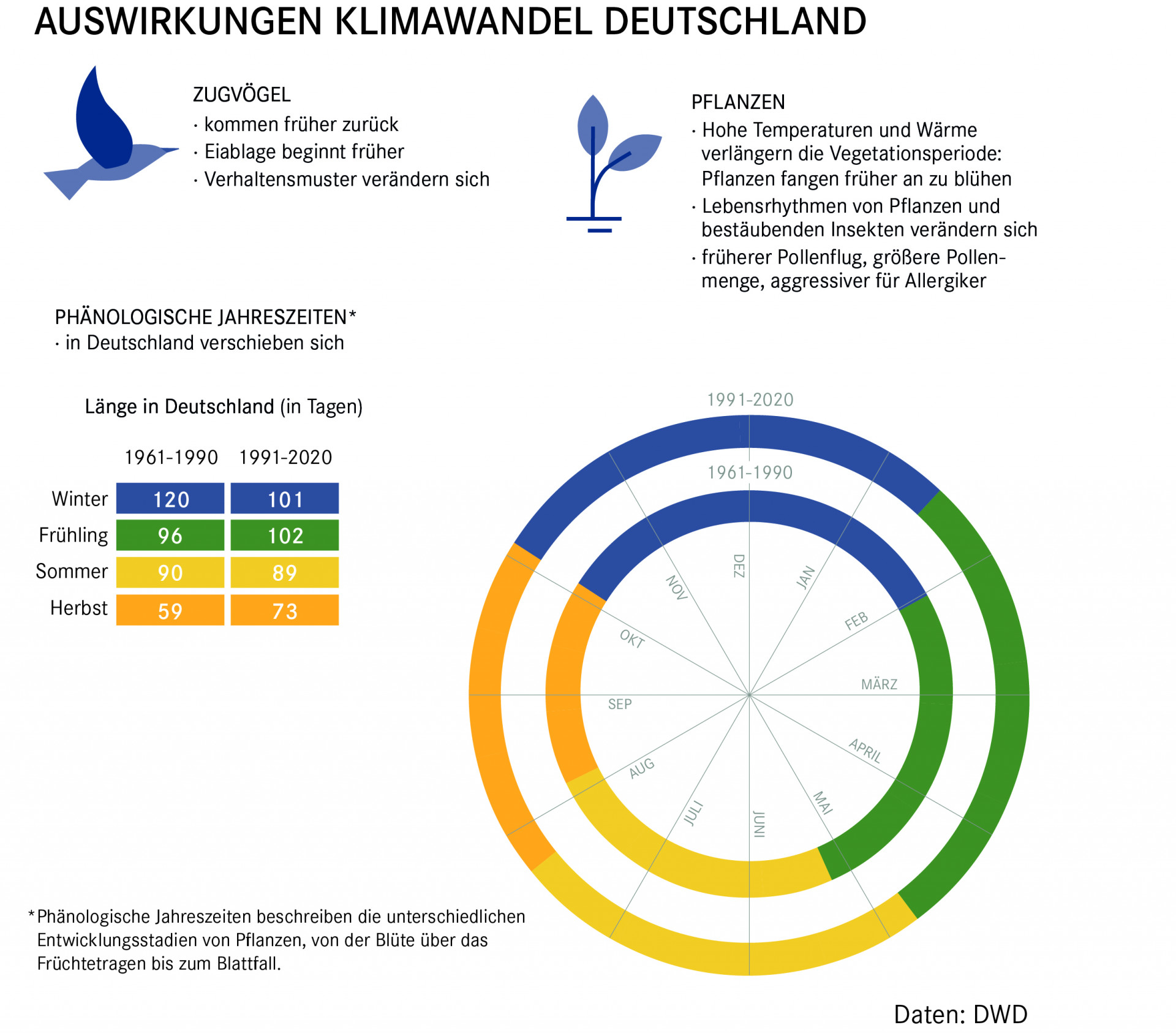 Zugvögel kommen früher zurück, legen früher Eier, ändern Verhaltensmuster. Pflanzen fangen früher an zu blühen, Lebensrhythmen von Pflanzen und bestäubenden Insekten verändern sich, früherer und stärkerer Pollenflug. Jahreszeiten verschieben sich: Frühling und Herbst werden länger.  