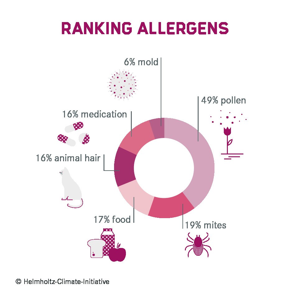 Allergens such as pollen, food and animal hair are the most common triggers of asthma.