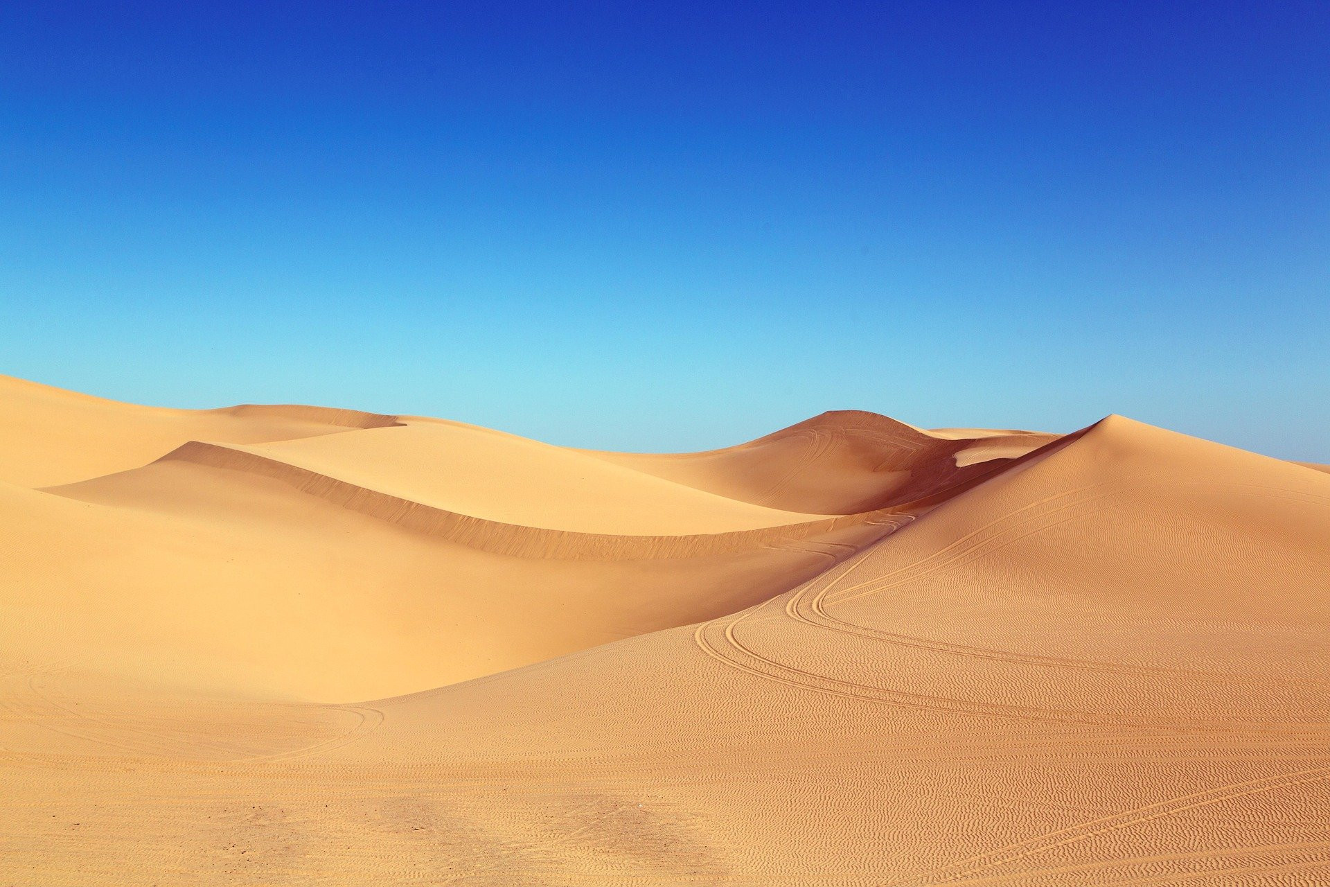 Goldgelbe Sanddünen in der Sahara-Wüste unter strahlend blauem Himmel