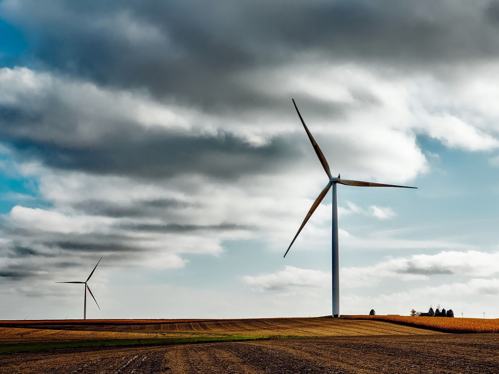 Wind turbines on a golden field