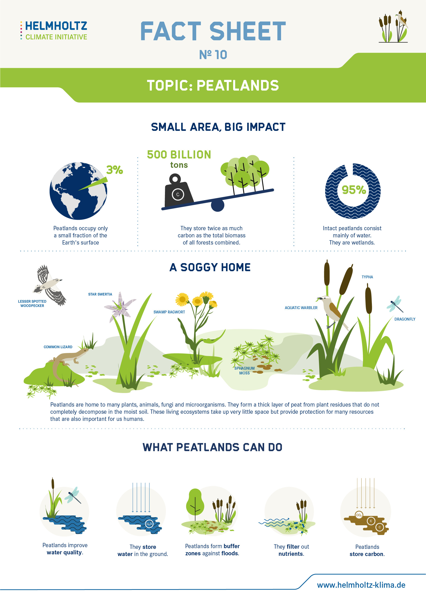 Page 1 of the factsheet showing the biodiversity, carbon storage capacity, and environmental functions of peatlands.