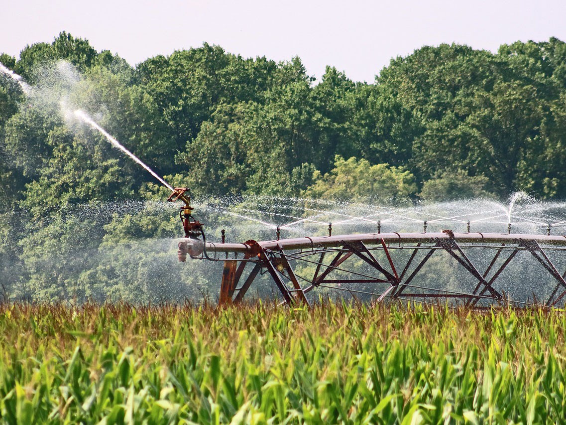 Feldfrüchte werden automatisch besprengt