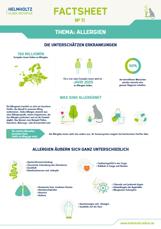 Erste Seite Factsheet Allergies