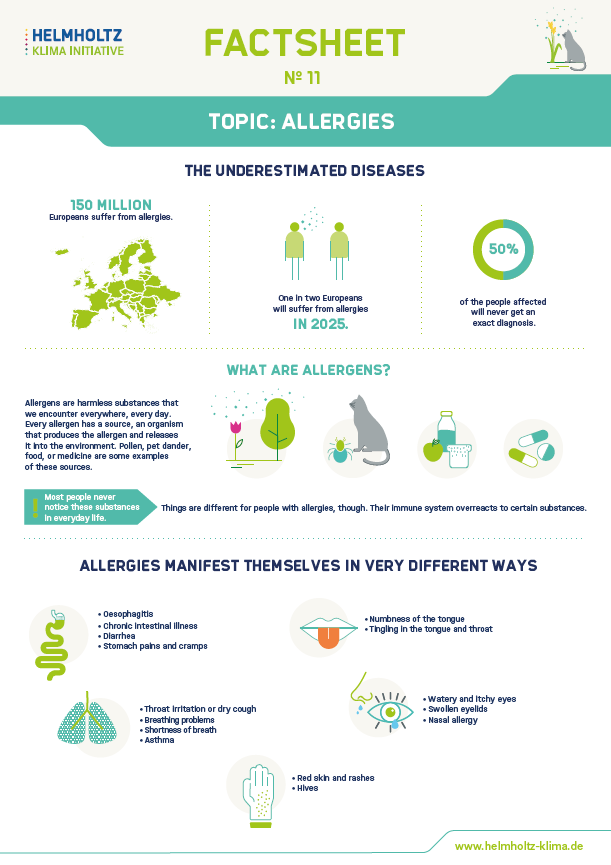 Graphics with facts about allergies