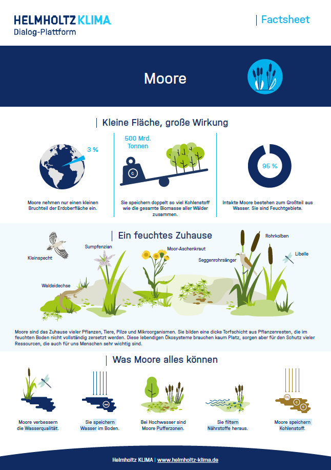 Factsheet zum Thema Moore_Seite 1