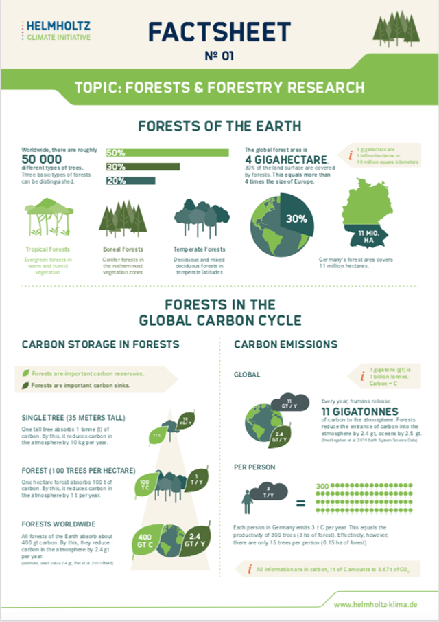 Cover: Factsheet No 01: Forests and Forestry Research
