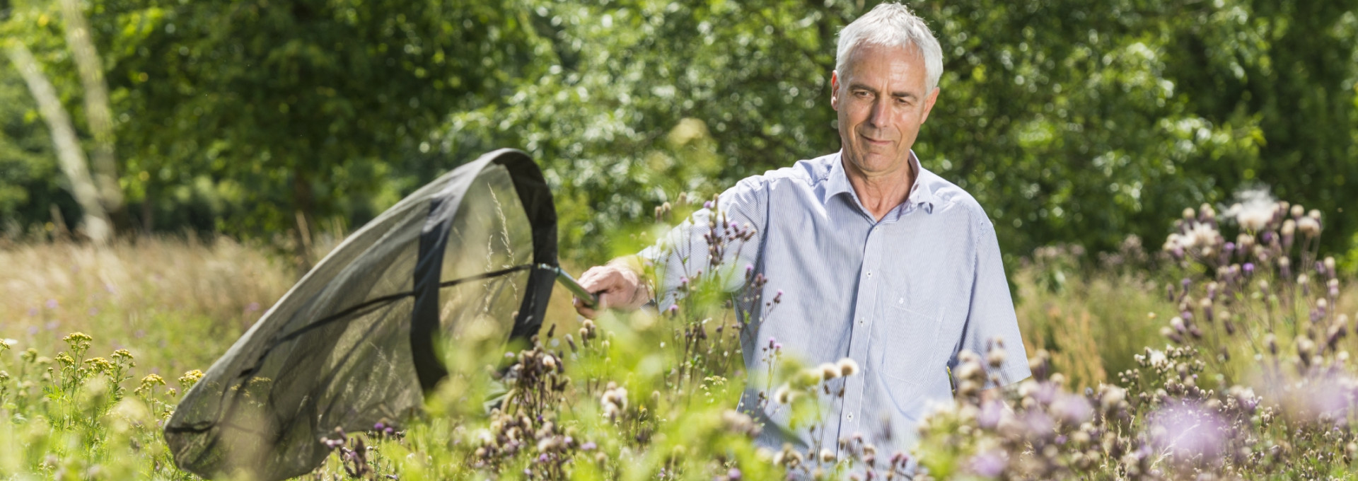 A person drags a net through a meadow with flowers