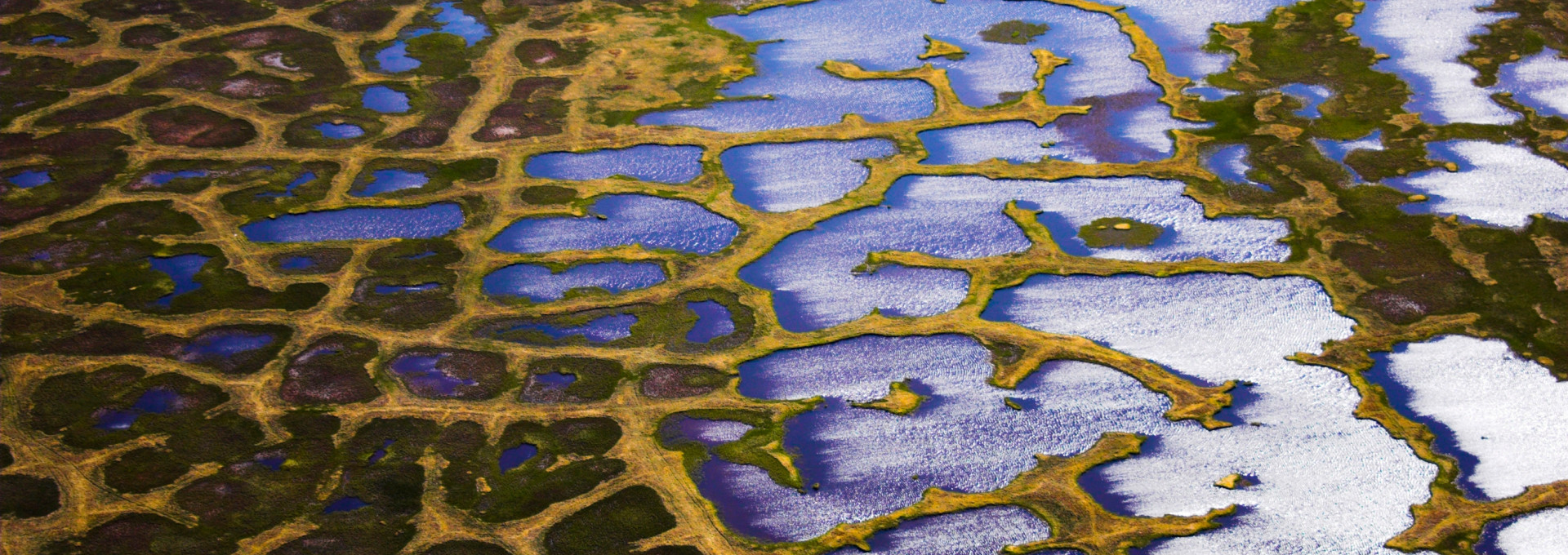 Tauender Permafrost