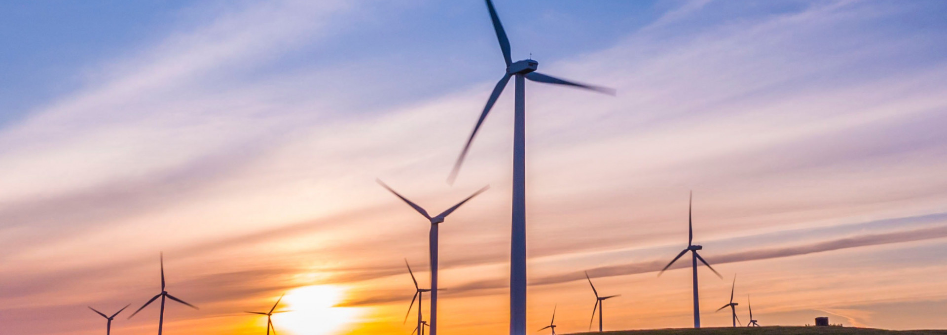 Windräder im Sonnenuntergang