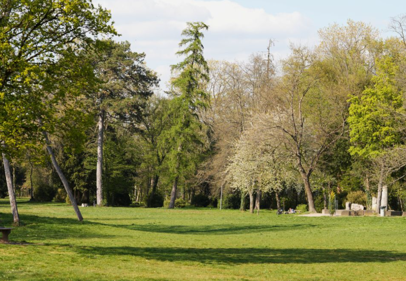 Bäume in einem Park