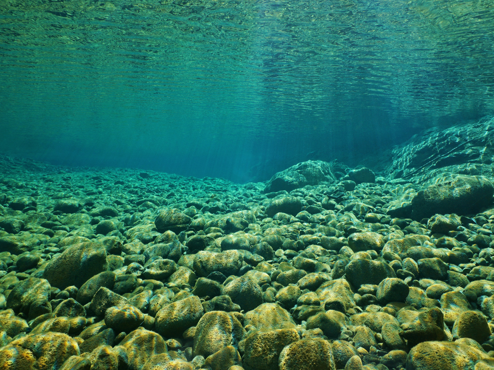 steiniges Flussbett unter Wasser