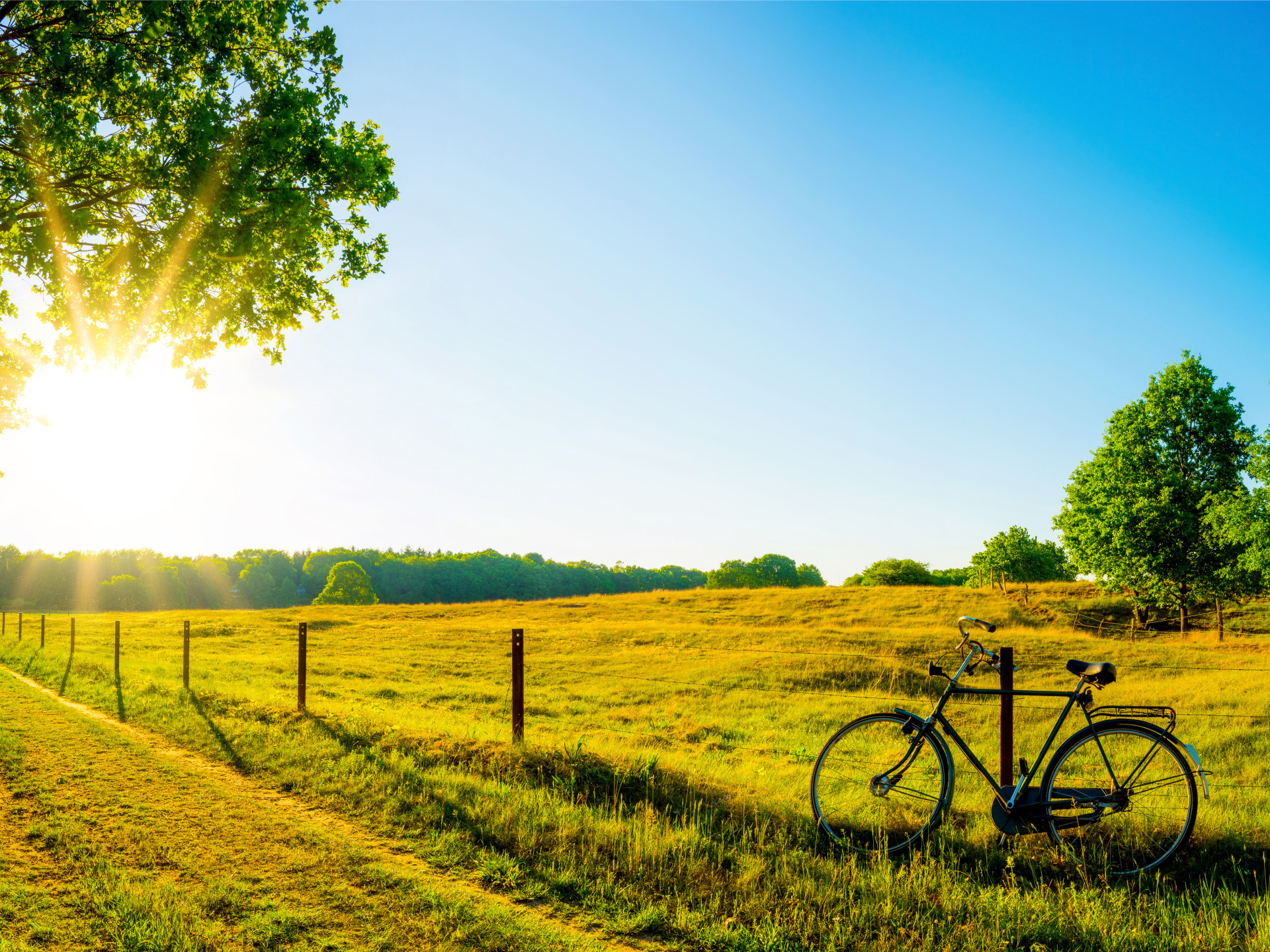 Grüne Landschaft mit Fahrrad im Vordergrund