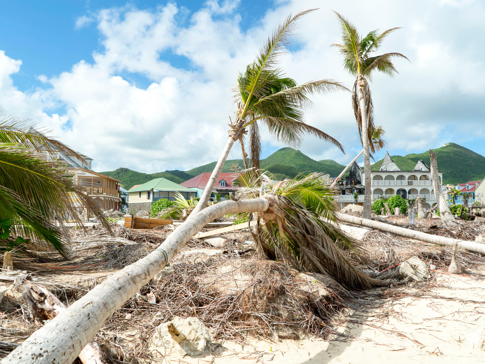 Ein Hurricane hat Häuser am Strand zerstört. Umgefallende Bäume liegen im Sand.
