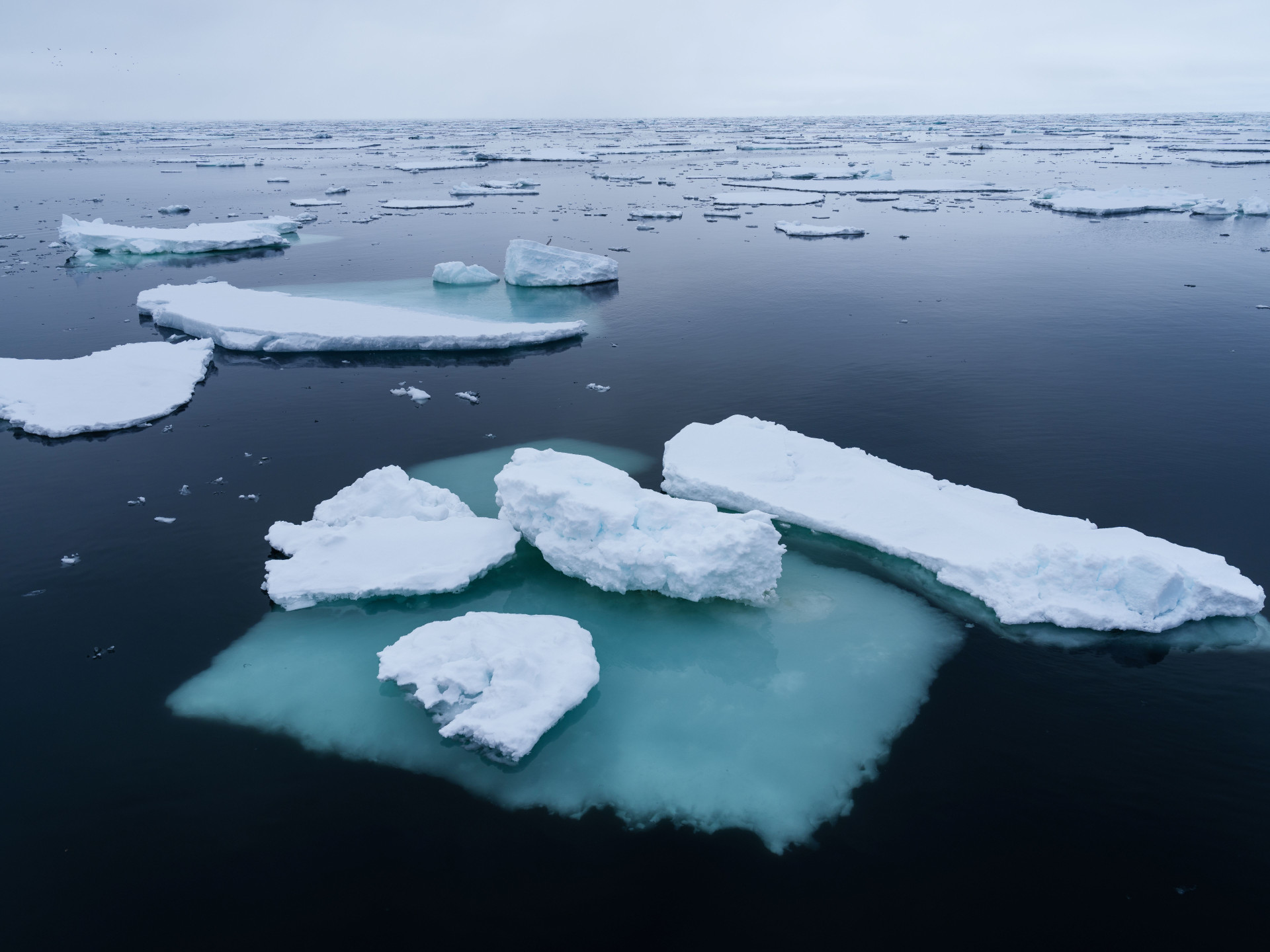 Sea ice in Svalbard