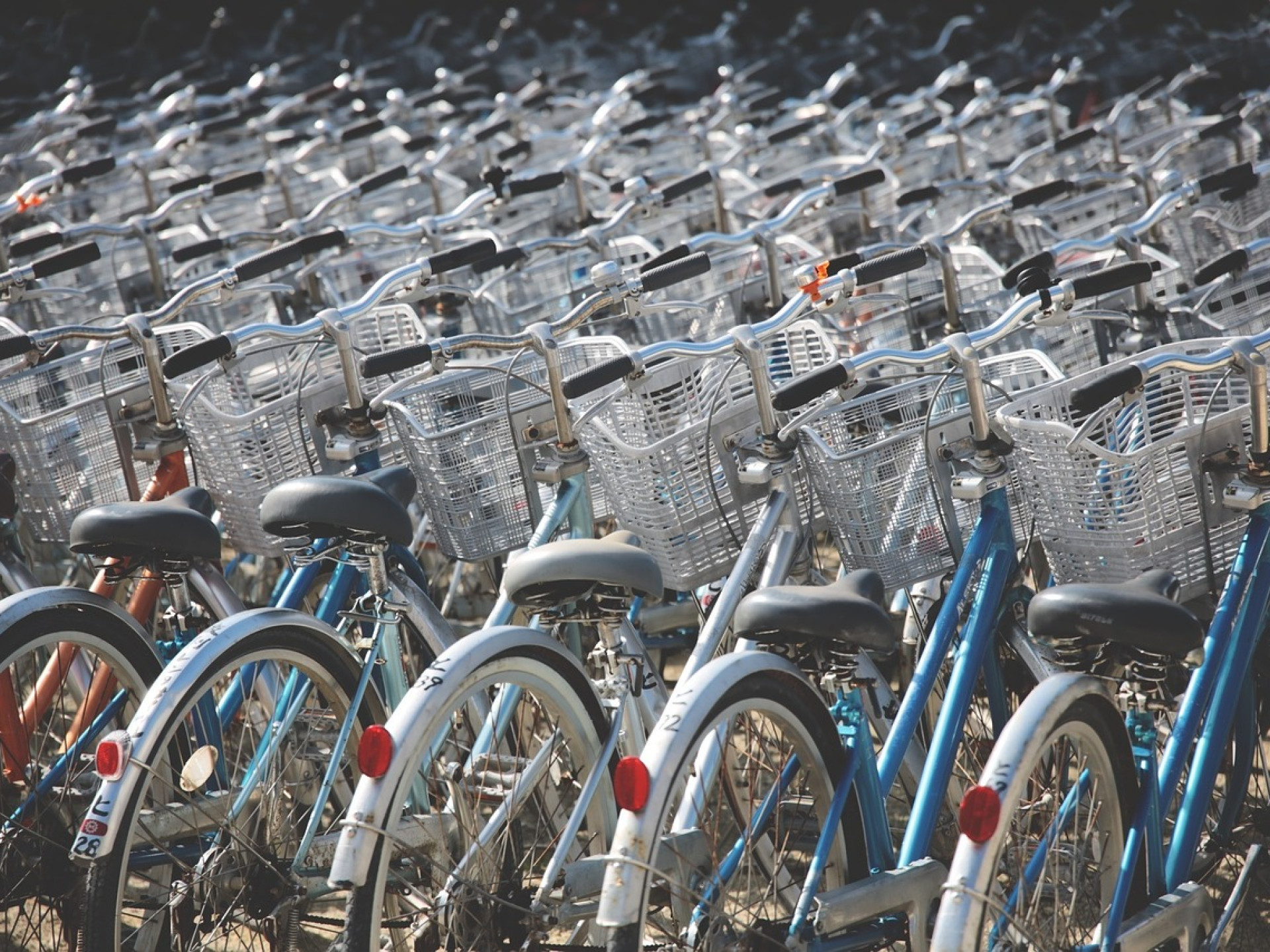 Sehr viele geparkte Fahrräder