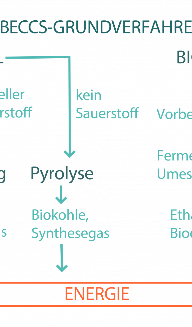 BECCS-Grundverfahren