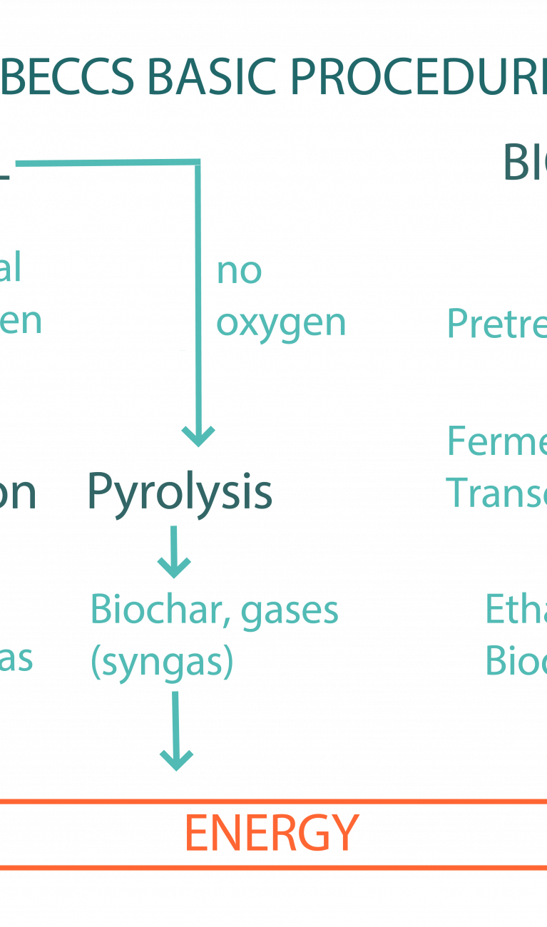 BECCS Basic Procedure