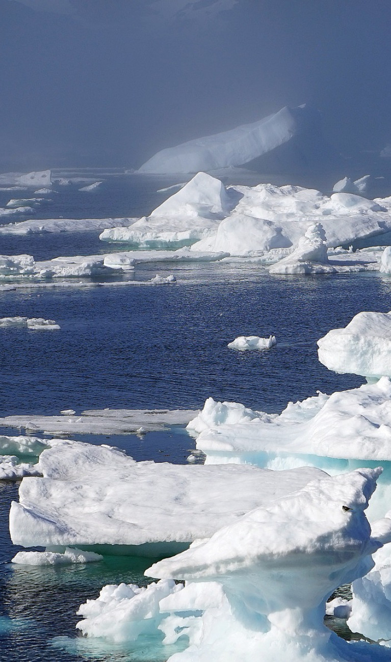 Chunks of ice floating on the ocean surface