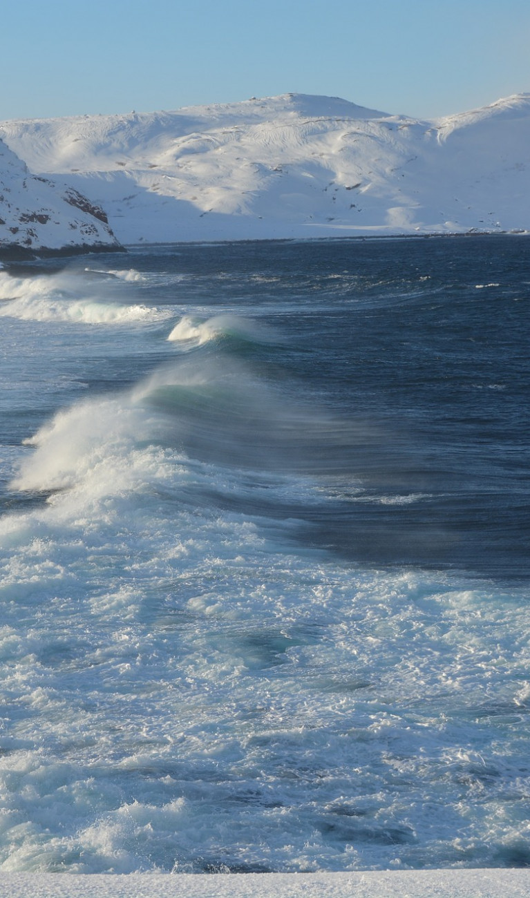 A coastline with ocean and snow-capped mountains