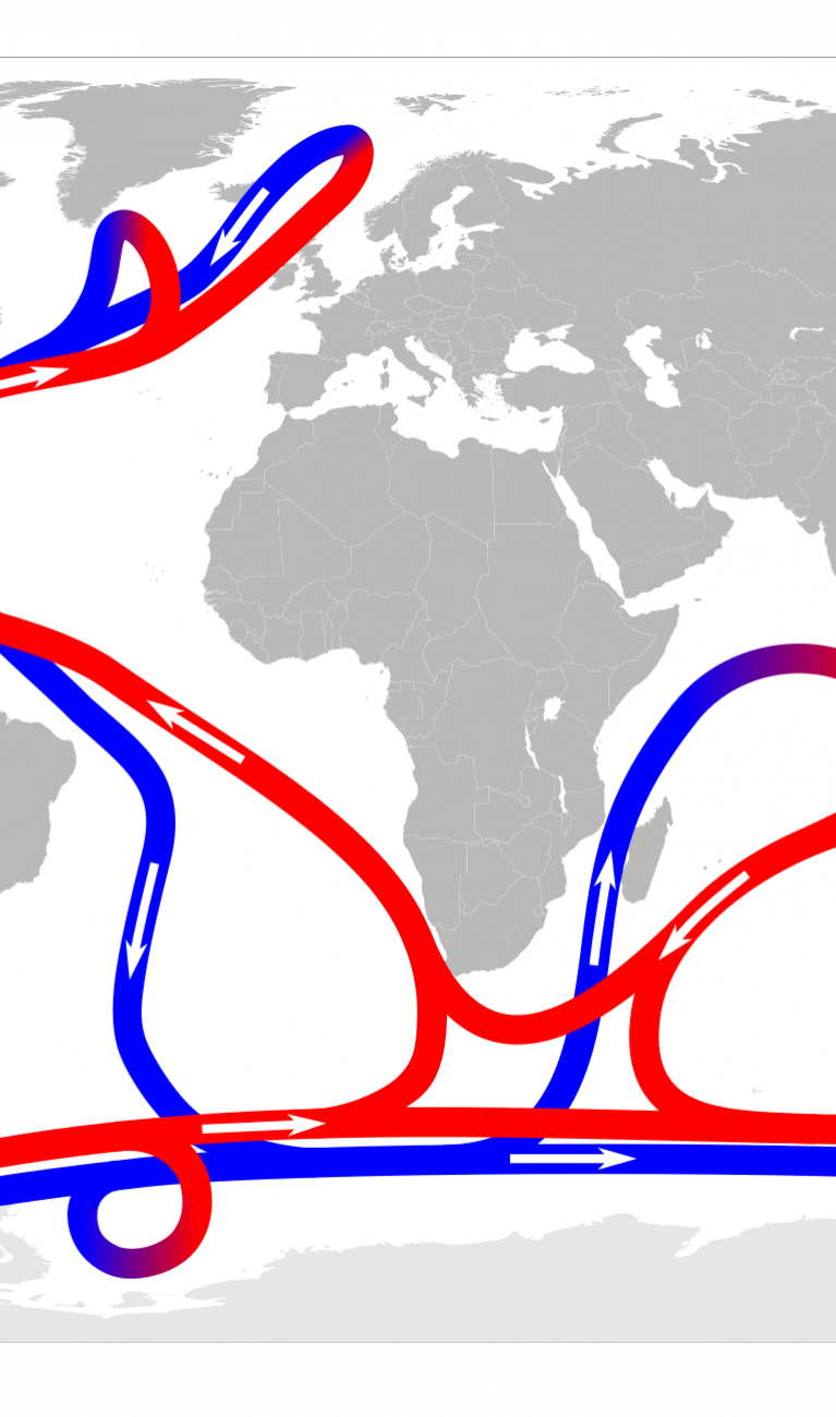 Rote Linien (für warmes Oberflächenwasser) und blaue Linien (für kaltes Tiefenwasser) schlängeln sich durch die Ozeane auf einer grau-weißen Weltkarte.