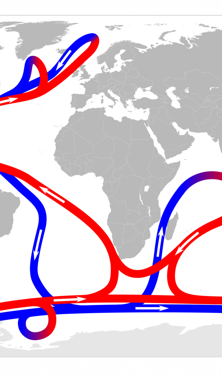 Red (warm surface) and blue (cold deep-ocean) lines on a white-grey world map indicate the path of the global ocean conveyor belt around the globe