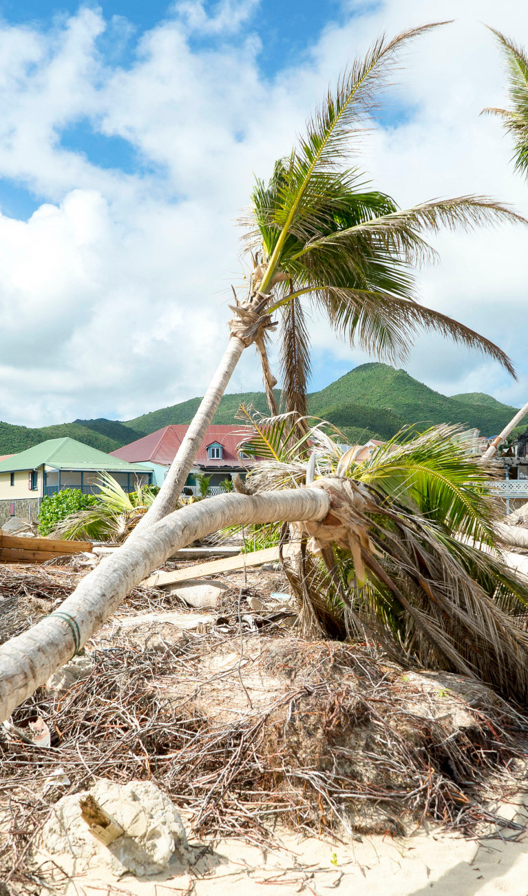 Ein Hurricane hat Häuser am Strand zerstört. Umgefallende Bäume liegen im Sand.