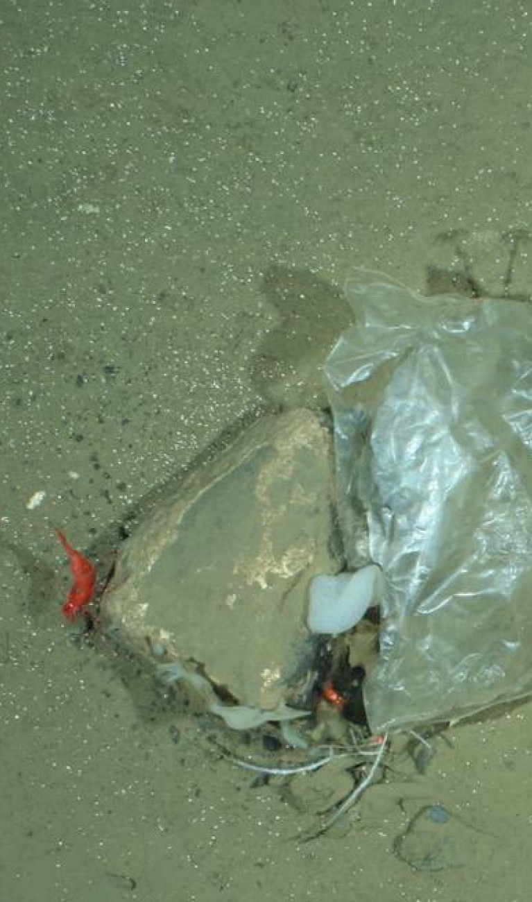 Plastic on the bottom of the ocean