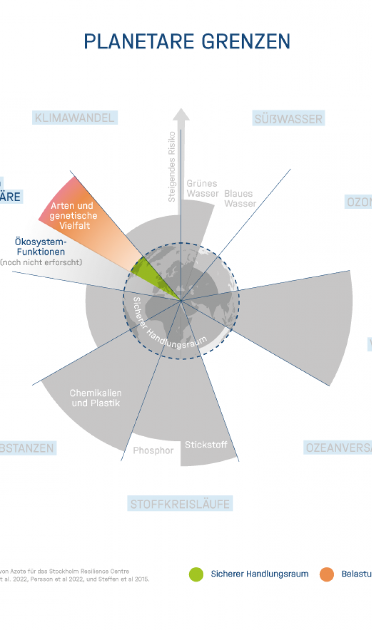 Planetare Belastungsgrenze nach Rockström, Stockholm Resilience Center
