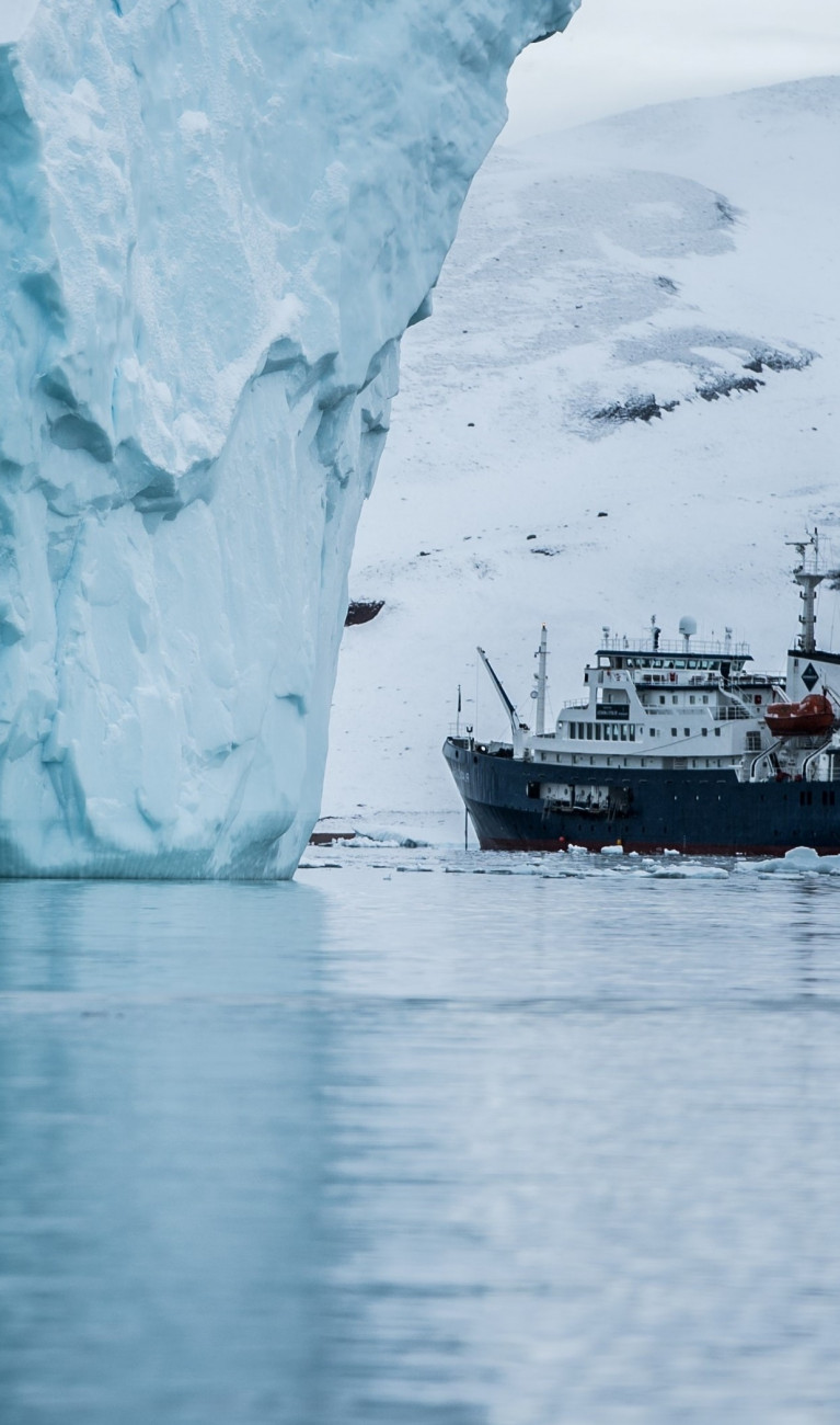 Foschungsschiff zwischen Eisbergen
