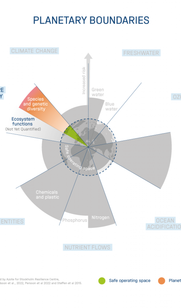 The nine planetary boundaries according to Rockström, Stockholm Resilience Center