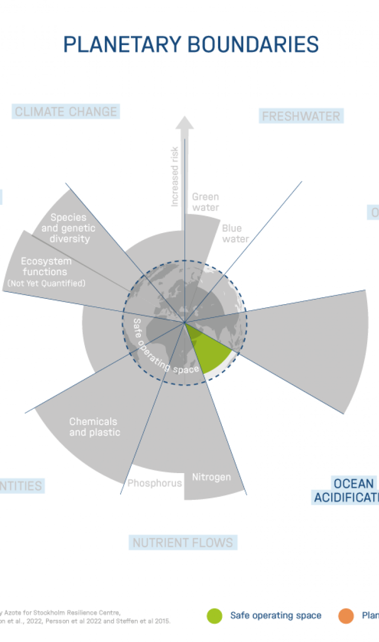 The nine planetary boundaries according to Rockström, Stockholm Resilience Center