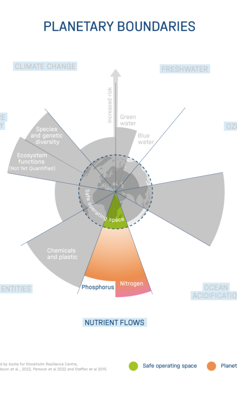 The nine planetary boundaries according to Rockström, Stockholm Resilience Center