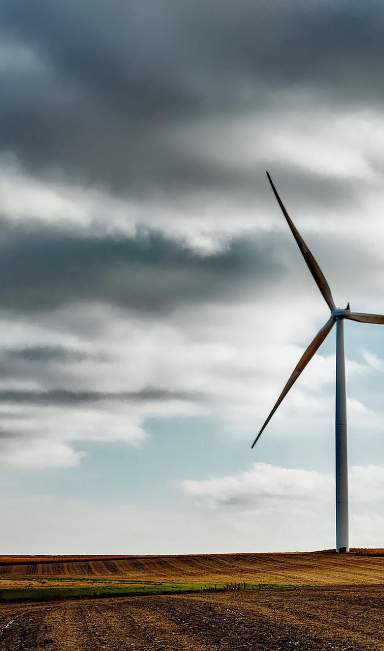 Wind turbines on a golden field