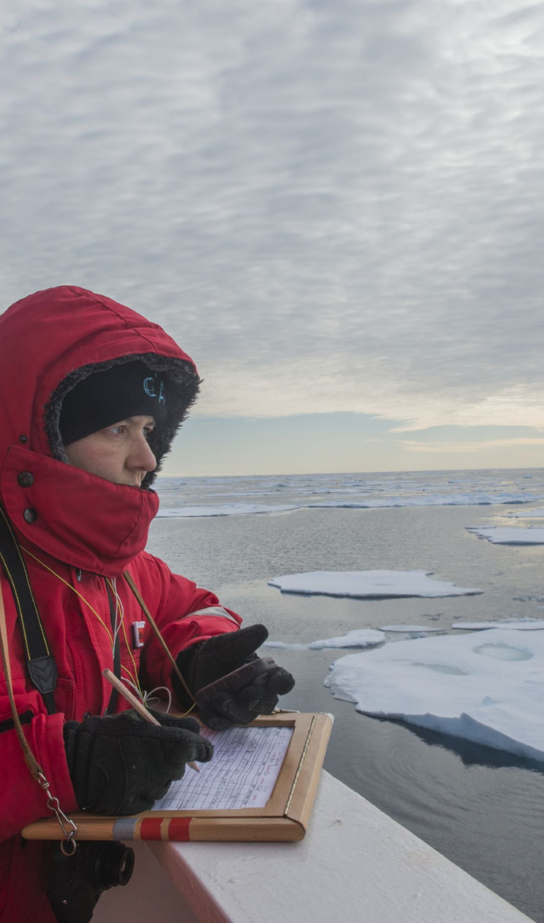 Scientist Melanie Bergmann takes notes on a ship, with ice floating on the water surface