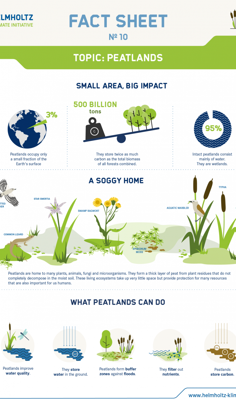 Page 1 of the factsheet showing the biodiversity, carbon storage capacity, and environmental functions of peatlands.