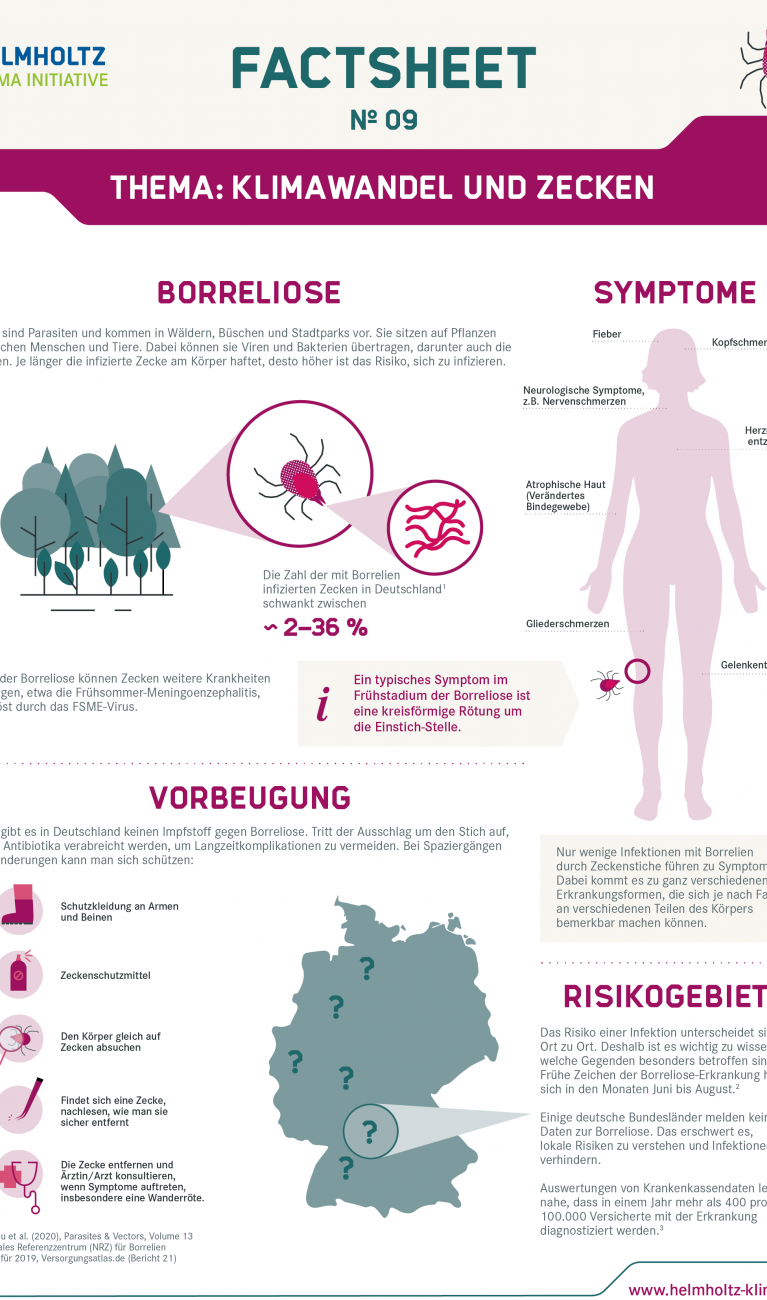 Factsheet Zecken / Borreliose S.1