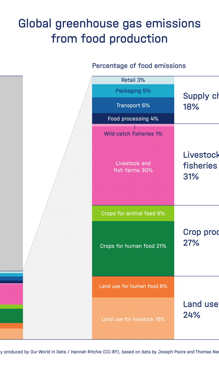 An illustration showing the global greenhouse gas emissions from food production