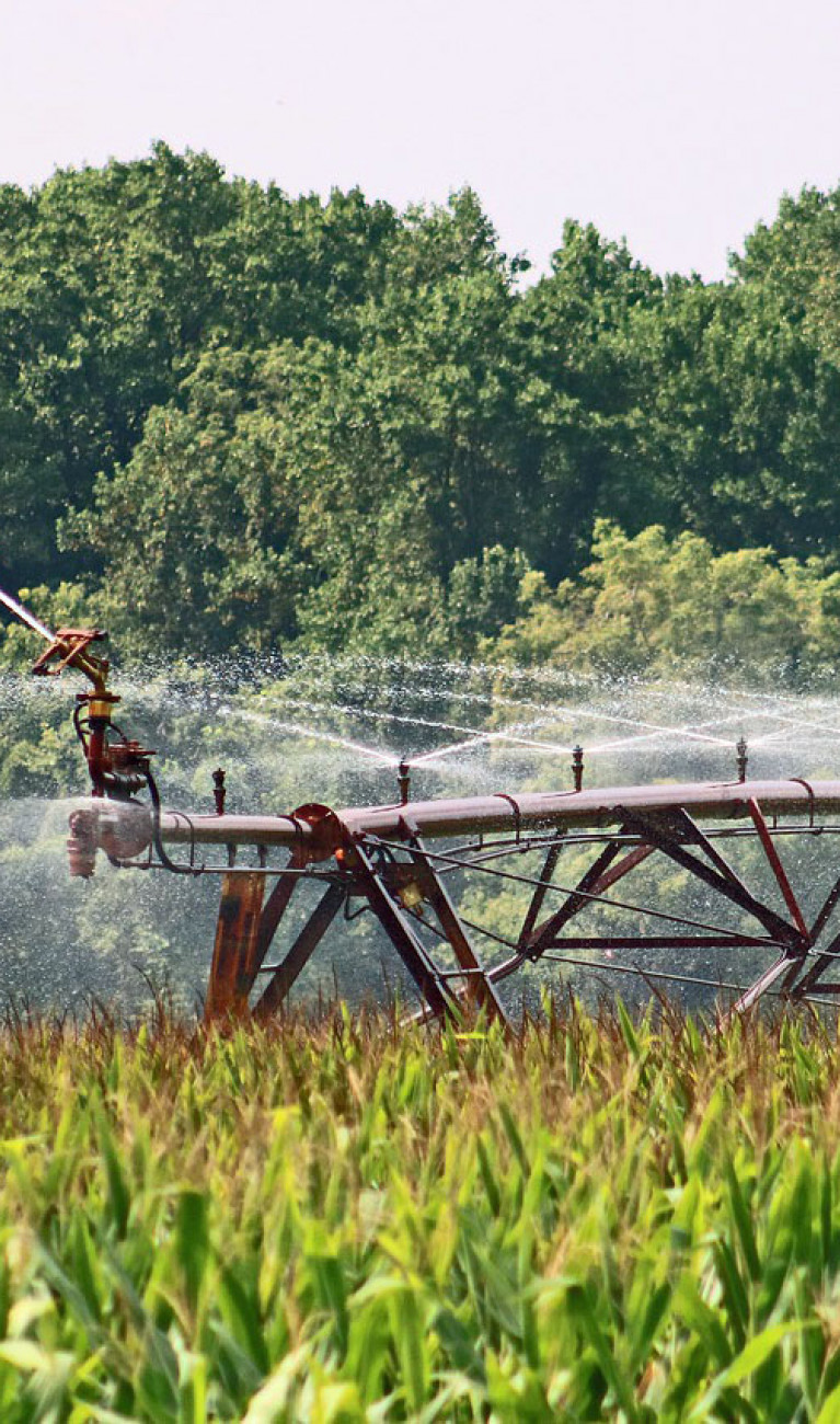 Feldfrüchte werden automatisch besprengt