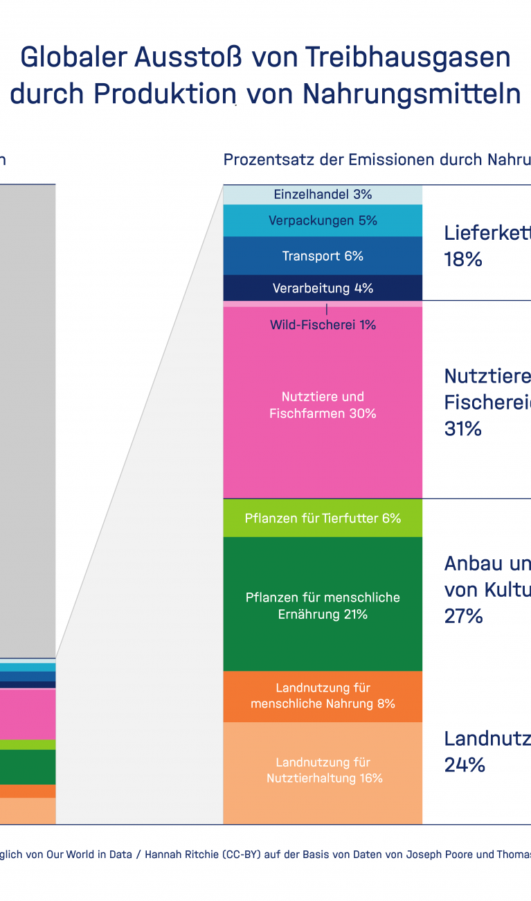 Die Grafik zeigt die Treibhausgasemissionen durch Lebensmittel