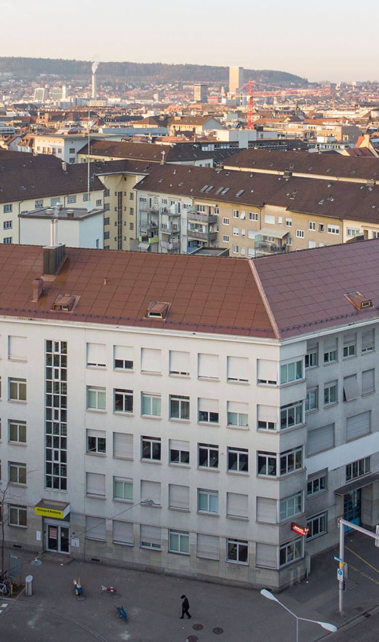 Roof renovation with terracotta color in Zurich