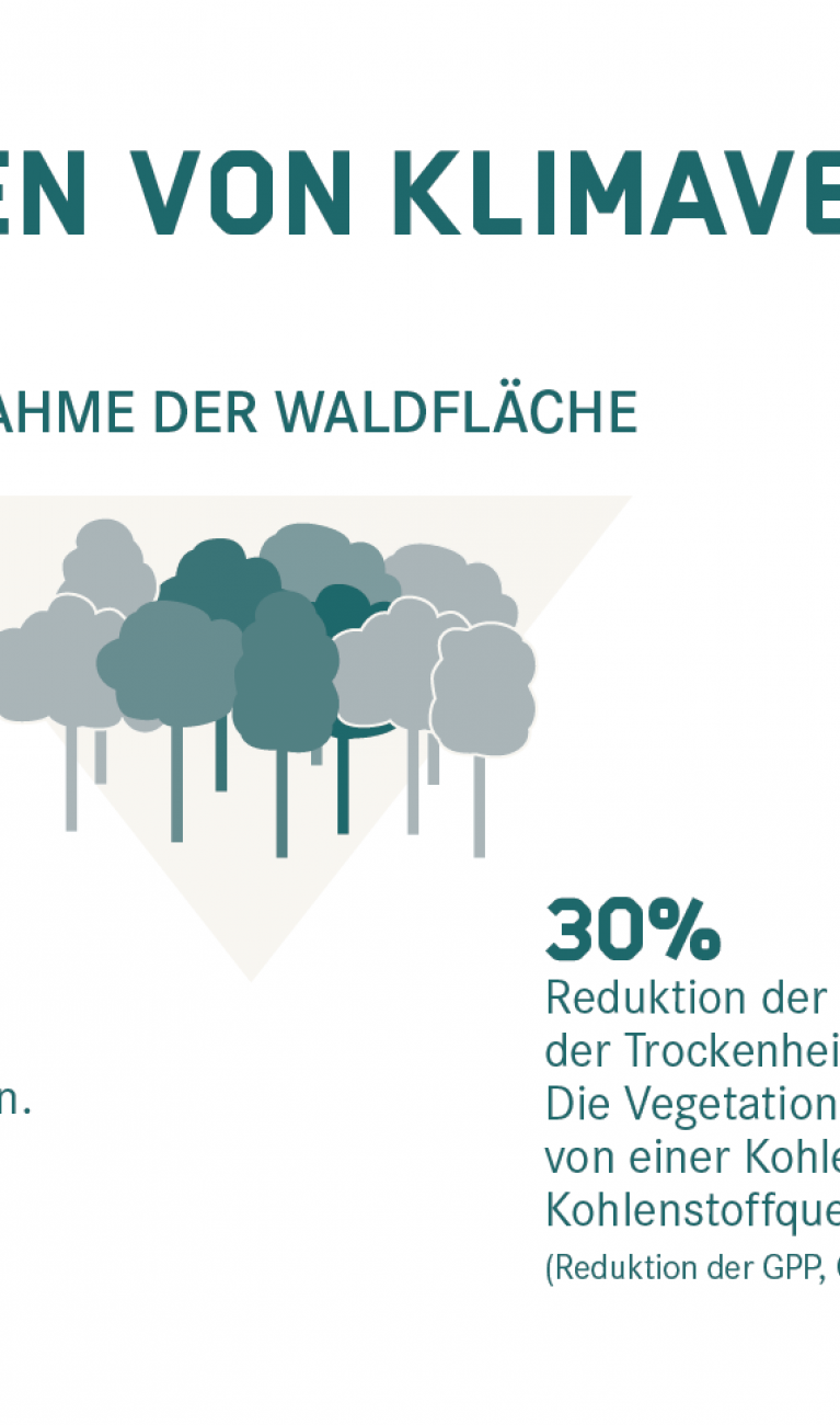 Infografik: wie Klimaveränderungen die Wälder beeinflussen