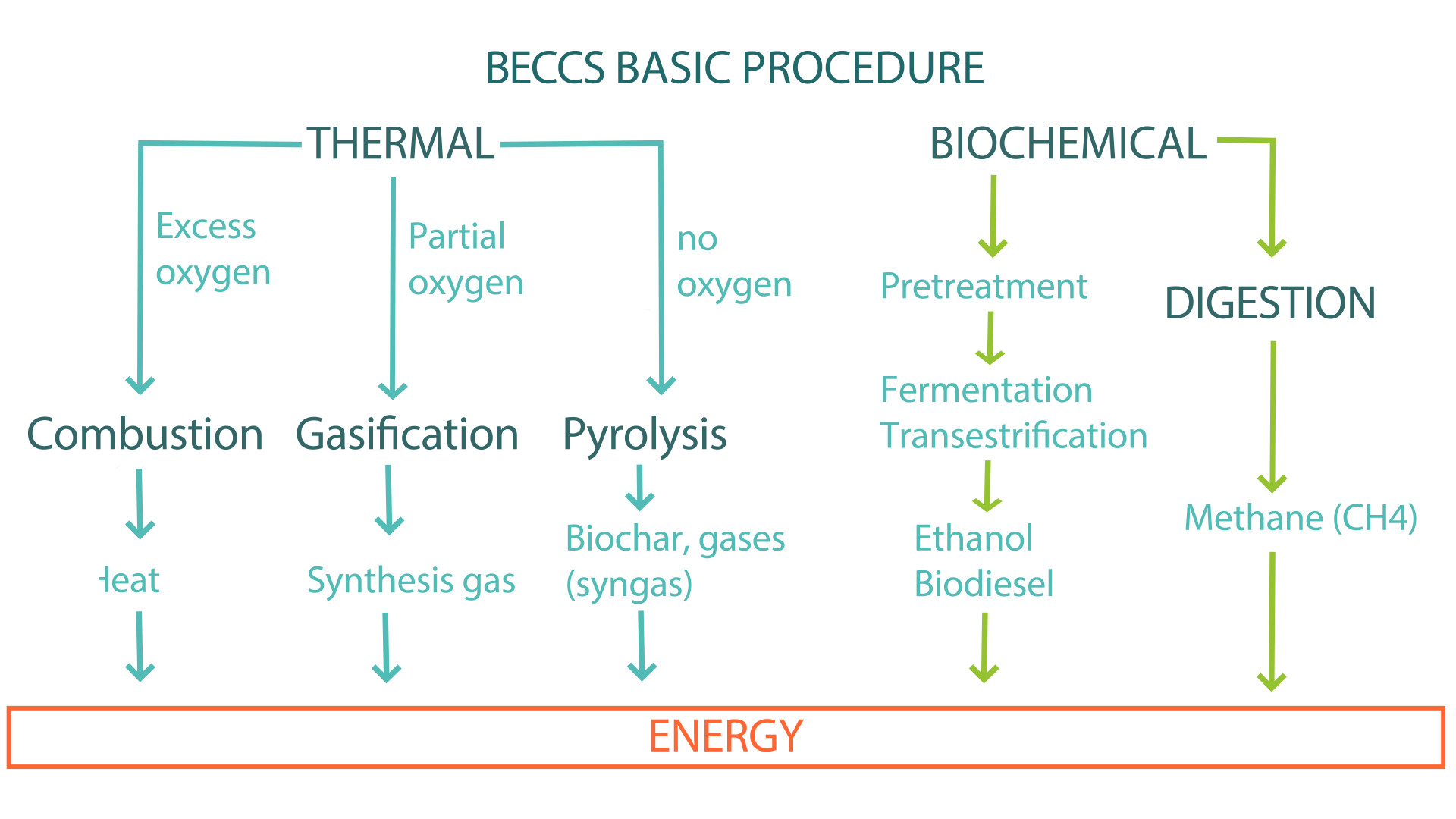 BECCS Basic Procedure