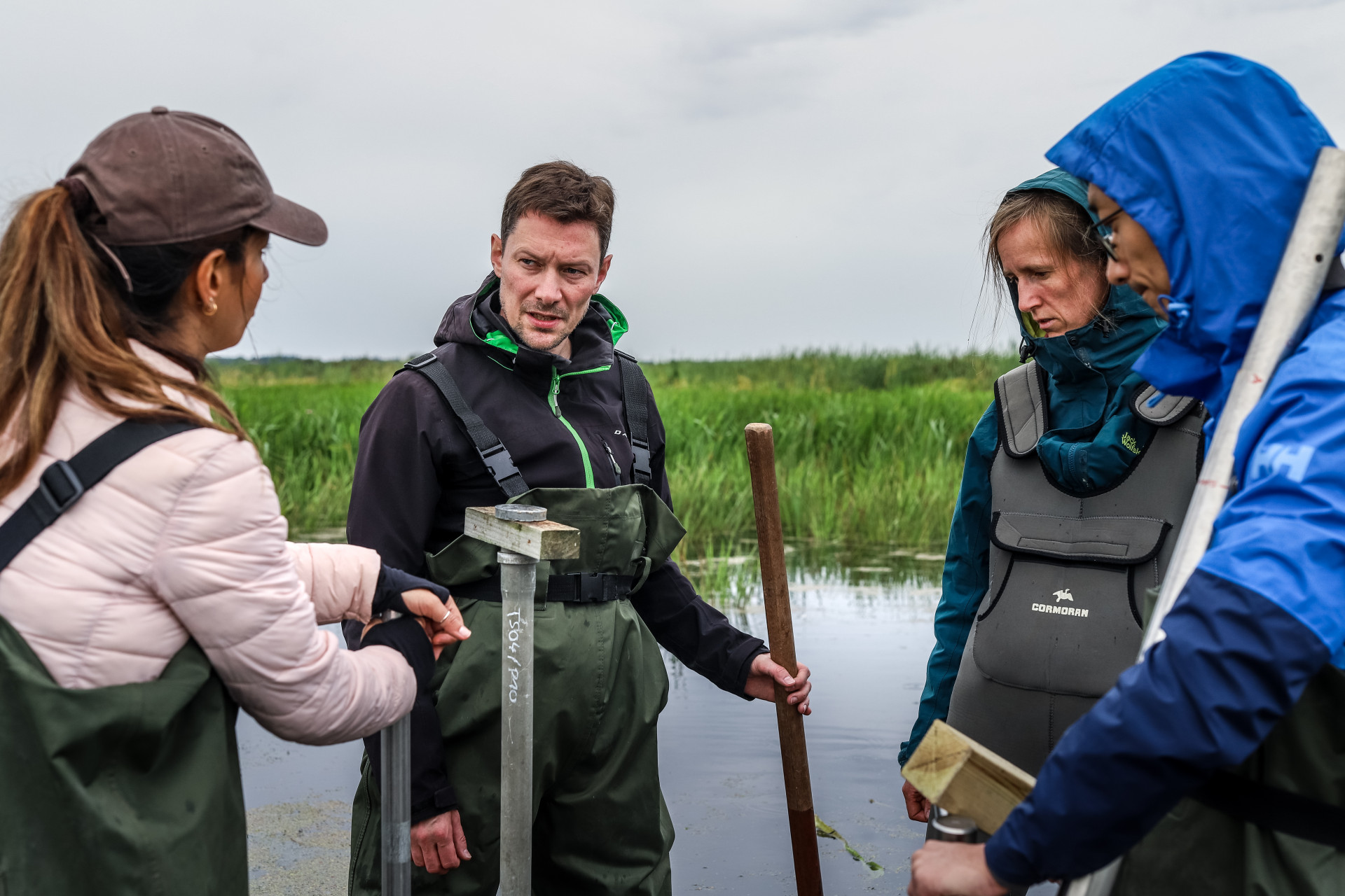 Four scientists in a peatland, dressed in outdoor clothing.