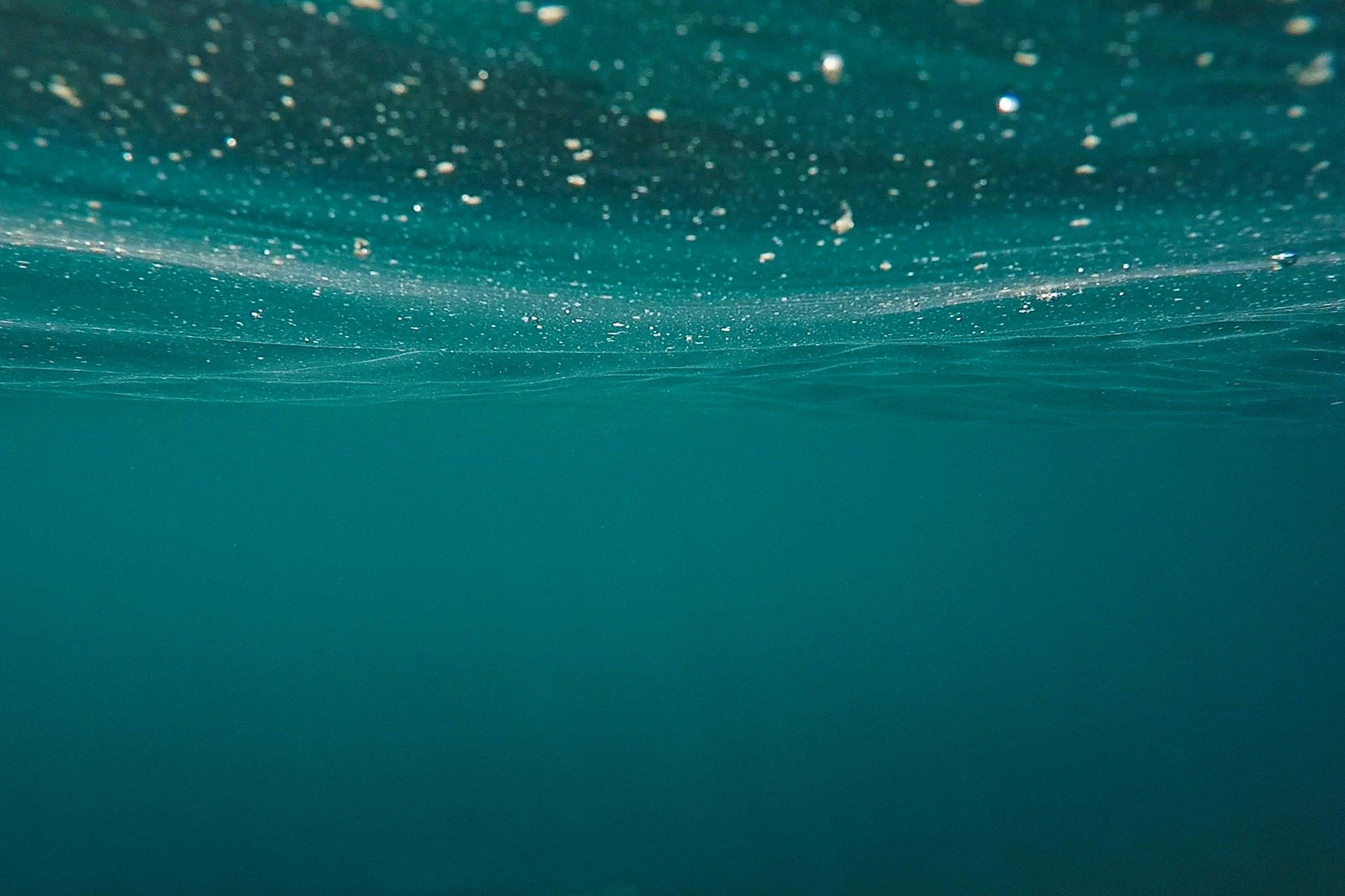 Sea surface with small particles or living creatures